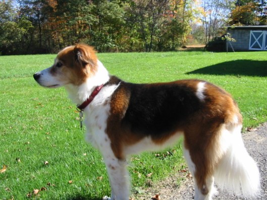 i-did-hit-the-lotto-two-pg1