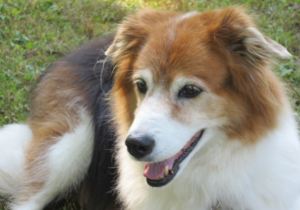 Bailey looking so gorgeous