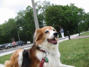 IMG_4852