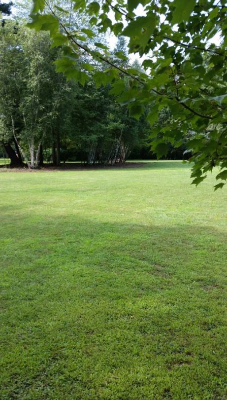 bailey's buhl park real estate