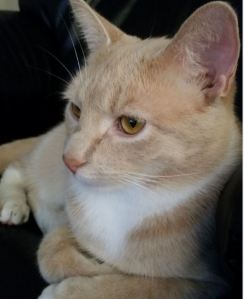 sabie gorgeous pic october 2015