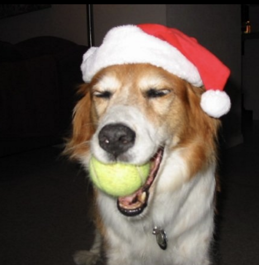 screen-shot-2016-12-09-at-4-02-46-pm